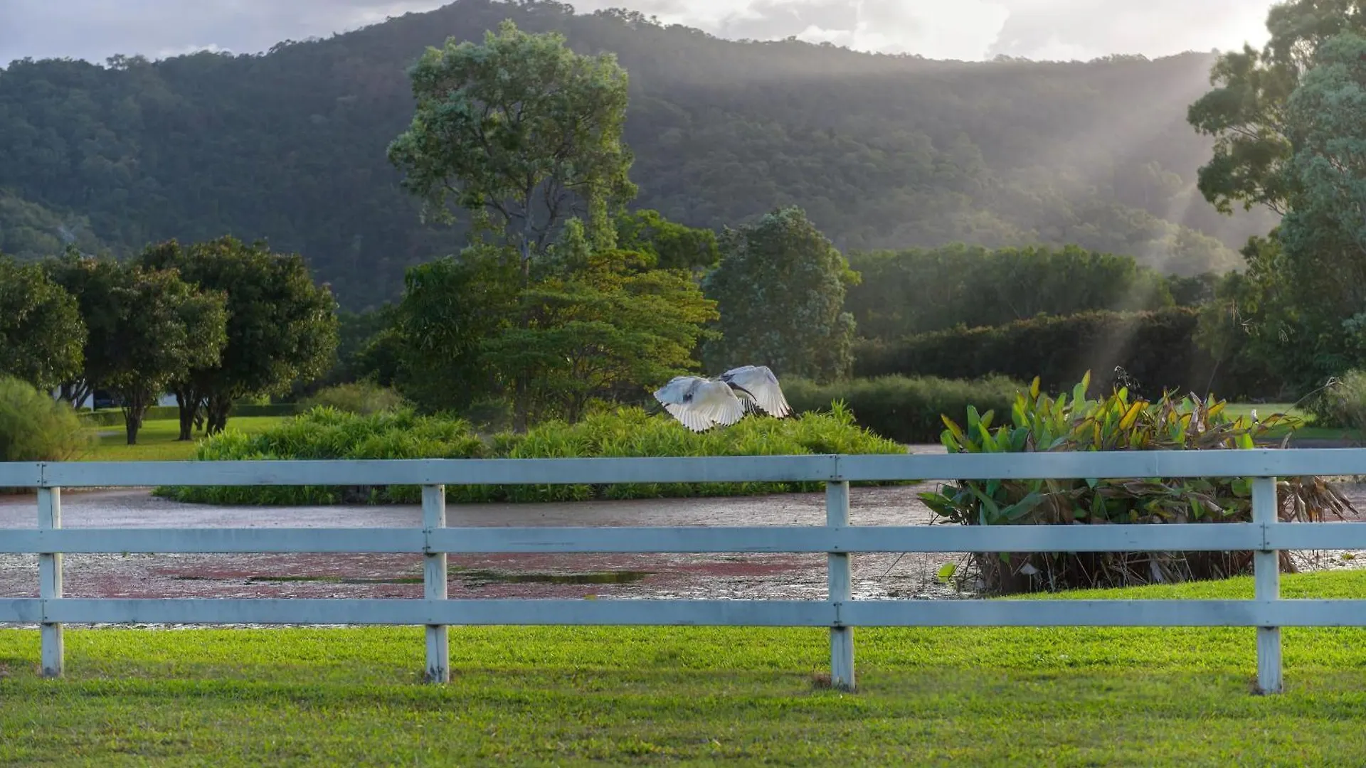 The Hampton Lodge Port Douglas Villa